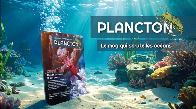 couverture du magazine Plancton au fond de l'océan